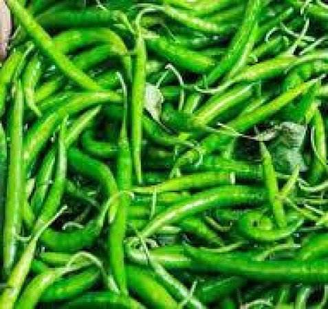 মরিচ চাষবাদের পদ্ধতি