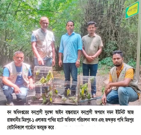 মিরপুর পাখির হাটে বন অধিদপ্তরের অভিযান