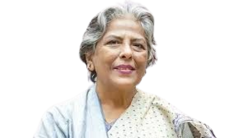 নুরুল হক নুরের ওপর অমানবিক হামলা কোনোভাবেই কাম্য নয় - মহিলা ও শিশু বিষয়ক উপদেষ্টা