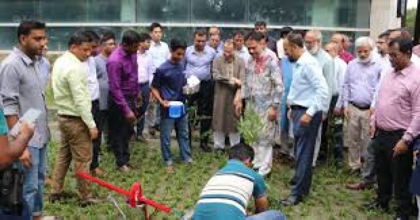 ‘জুলাই গণ-অভ্যুত্থান দিবস ২০২৫’ উদযাপন উপলক্ষ্যে বৃক্ষরোপণ কর্মসূচি ও বিশেষ দোয়া মাহফিল অনুষ্ঠিত