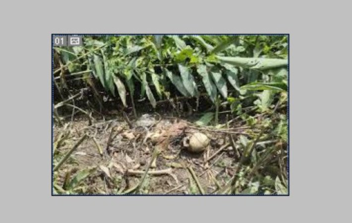 নিখোঁজের ৩৬ দিন পর ঝোপ থেকে উদ্ধার কঙ্কাল