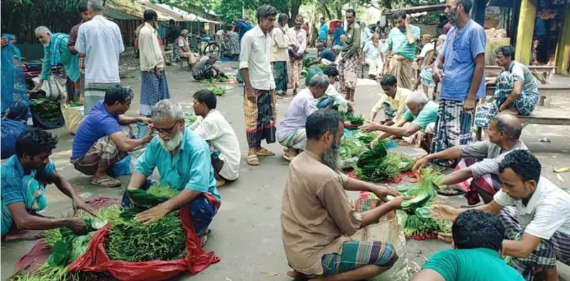 চাঁপাইনবাবগঞ্জে পান চাষিরা ভালো ফলন পেয়েও মারাত্মক বিপাকে পড়েছেন এখন তারা পান নিয়ে হতাশায় ভুগছেন