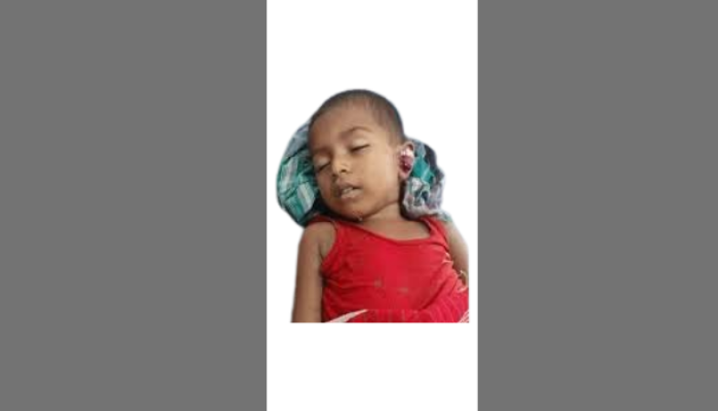 চাঁপাইনবাবগঞ্জে নাচোলে ট্রেনের ধাক্কায় এক শিশুর মৃত্যু