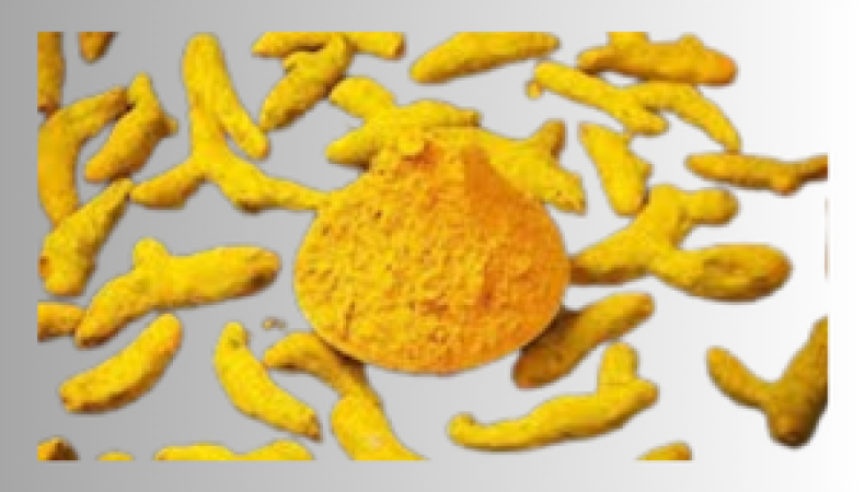 হলুদ চাষের পদ্ধতি