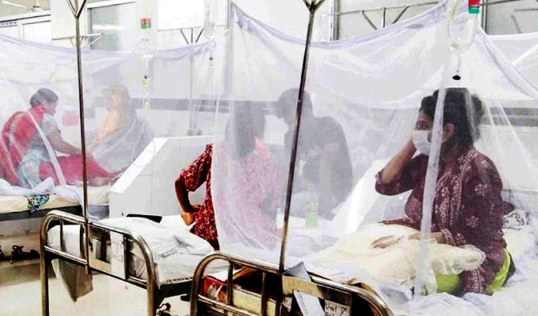 ডেঙ্গুতে আরও ৫ জনের মৃত্যু, নতুন করে হাসপাতালে ১,৩৬৬