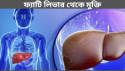 ফ্যাটি লিভার থেকে মুক্তি: লিভারের চর্বি কমানোর আটটি ব্যতিক্রমী উপায়