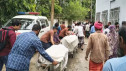 সিলেটে ভোরের সড়ক দুর্ঘটনা—পিকআপ-ট্রাক সংঘর্ষে প্রাণ গেল ৮ নির্মাণ শ্রমিকের